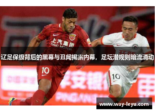 辽足保级背后的黑幕与丑闻揭露内幕,足坛潜规则暗流涌动 辽足保级背后的黑幕与丑闻揭露内幕,足坛潜规则暗流涌动