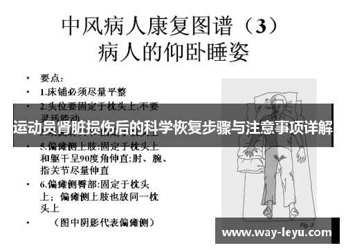 运动员肾脏损伤后的科学恢复步骤与注意事项详解