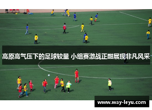 高原高气压下的足球较量 小组赛激战正酣展现非凡风采 高原高气压下的足球较量 小组赛激战正酣展现非凡风采