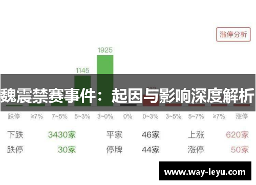 魏震禁赛事件:起因与影响深度解析 魏震禁赛事件:起因与影响深度解析